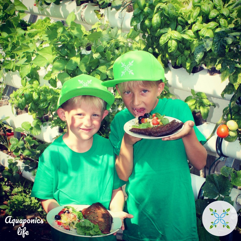 Family aquaponics