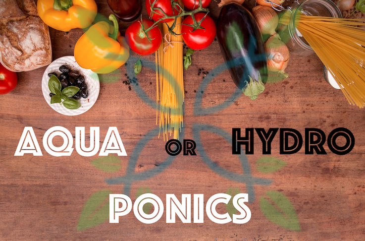 What is the difference between hydroponics and aquaponics?