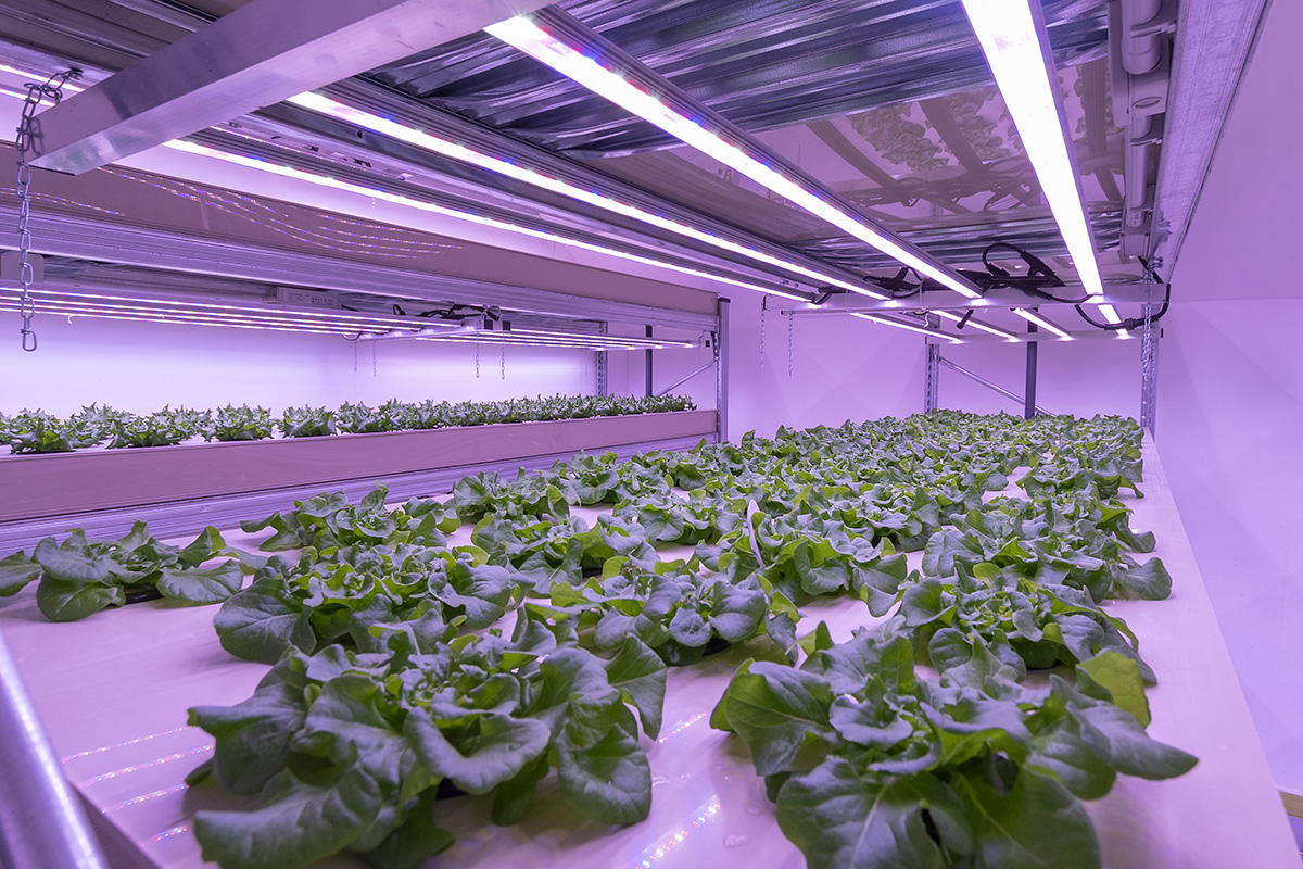 6 pieces of evidence that aquaponics isn’t just pretending to be sustainable